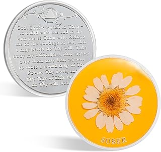 CHURYUML Handmade Daisy Resin Sobriety Coin - AA Coins with Real Dried Pressed Flowers, Sober Chip Medallions Sobriety Gifts for Women Men Alcoholics Anonymous Token for Support & Inspirational