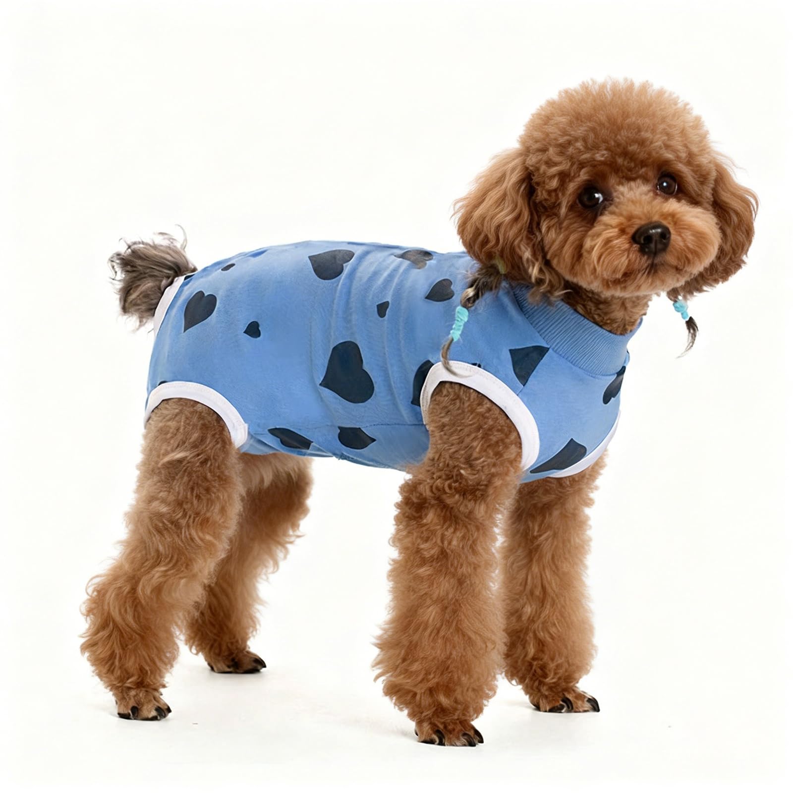 Culinavog Dog Recovery Suit, Anti-Licking Puppy Medical Surgical Suits Post-Operative Abdominal Wounds Protector, Cotton with Top Zip Cozy Dogs Onesie for Small Medium Dog Cat Cone Alternative (S, B)