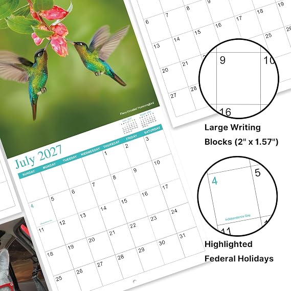 2027 Wall Calendar - Calendar 2027, Hummingbirds Calendar, 12 x 24 | JAN. 2027 - Dec. 2027, 12 x 24 Wall Calendar (open), 12 Months Calendars with Unruled Blocks, Thick Paper - Hummingbirds