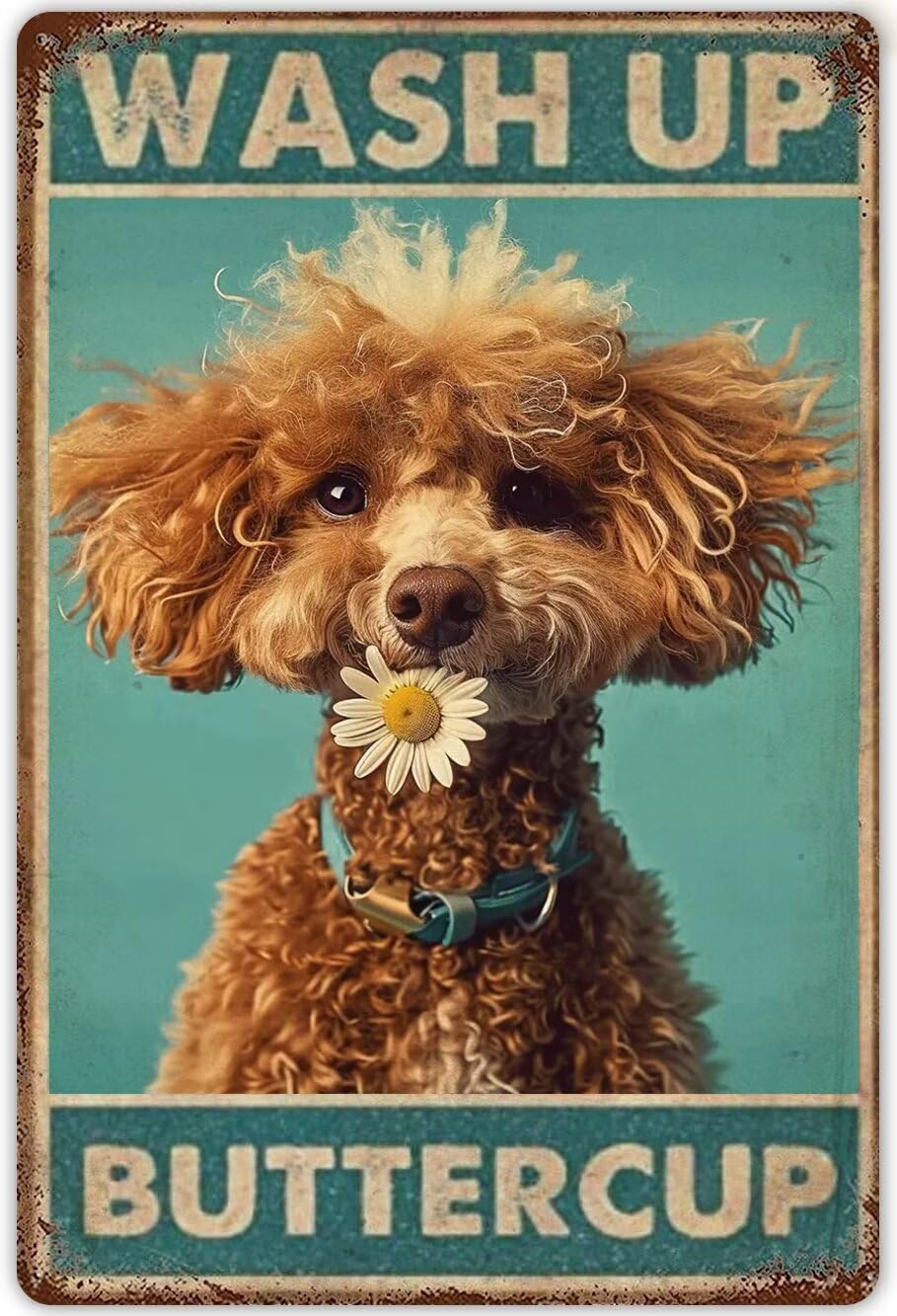 Anceky Vintage Poodles Tin Sign Funny Bathroom Signs Wash Up Buttercup Metal Poster Retro Plaque Wall Decor For Garden Men Cave Garage Classroom Library Living Room Cinema 8x12 Inch