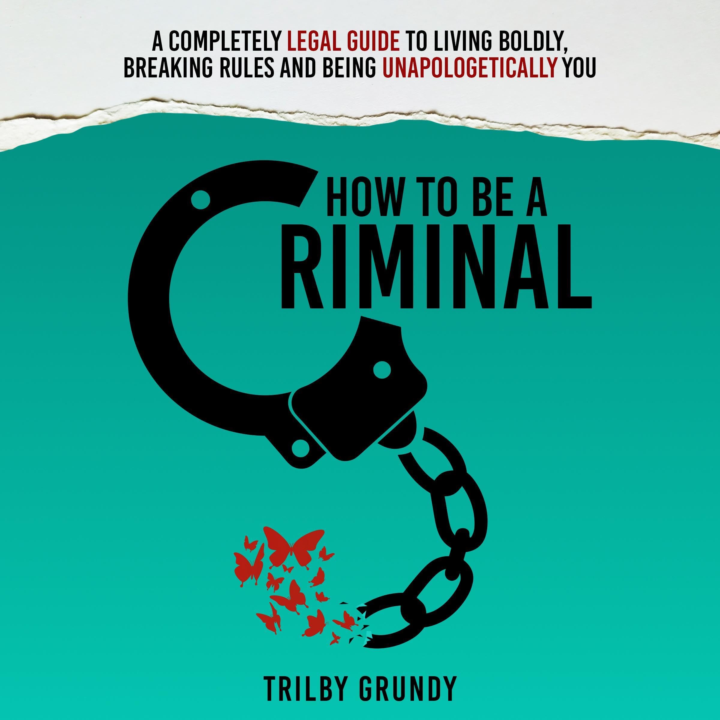 Cover art for How to Be a Criminal