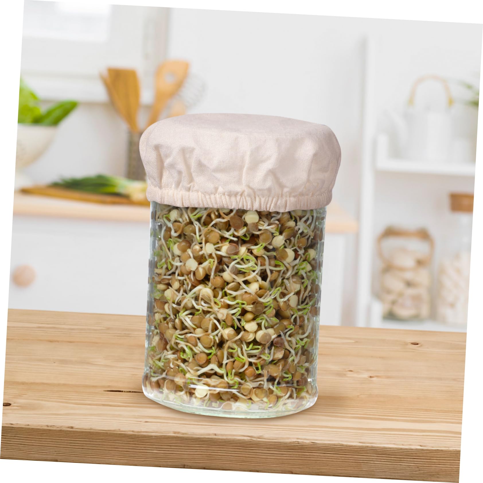 ABOOFAN 2 Sätze Hefefermenter-Set Glas-stoffabdeckung Glasgefäß-zubehör Zubehör Für Sauerteig-startergläser Thermometerstreifen Sauerteig-starterglas-stoffbezug Datumsbänder Baumwolle