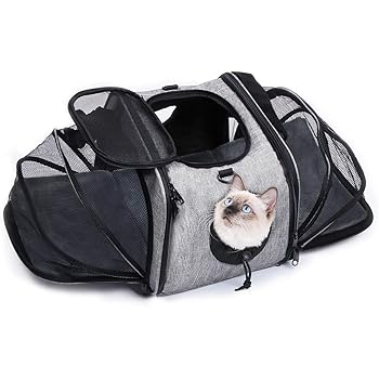 takealot pet carrier