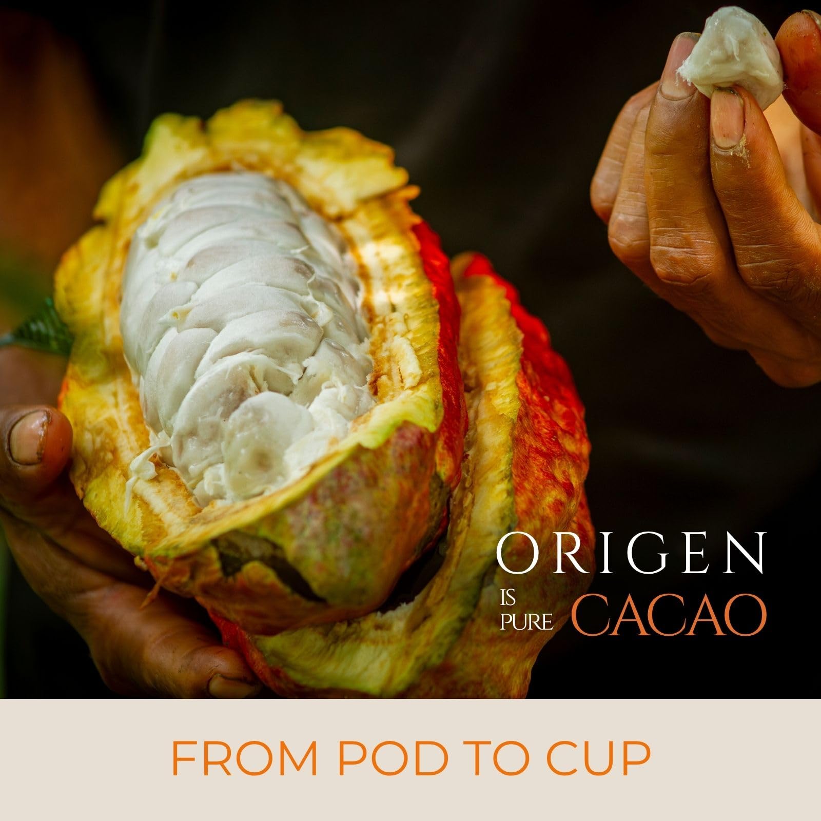 Origen Ceremonial Cacao en Polvo
