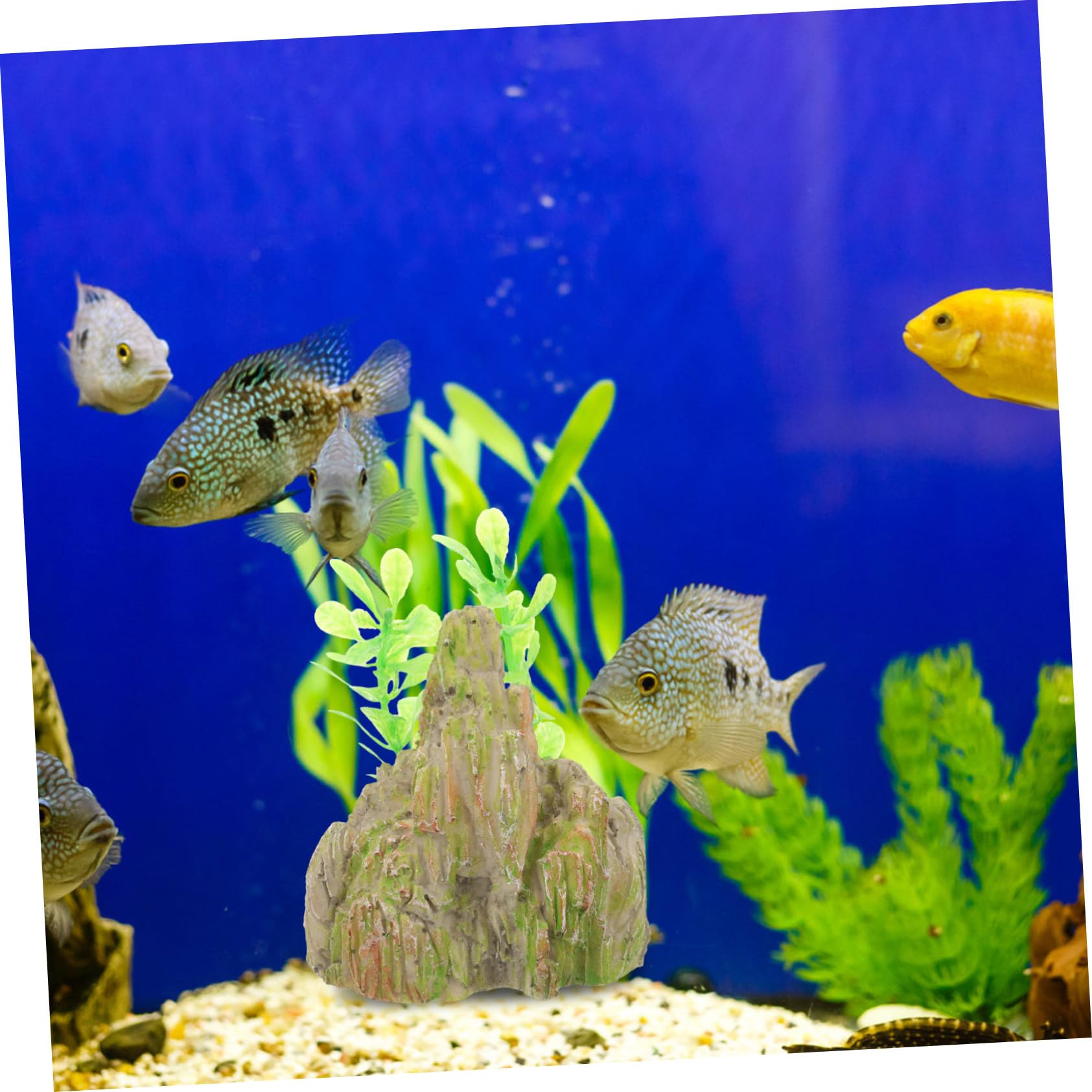 BESPORTBLE 4 Juegos Pecera Rocalla Paisajismo Planta Roca del Acuario Agua Equipo Decoración Pecera Adornos Pecera Decoraciones De Peceras Cueva De Piel De Pescado Resina 2 Piezas * 4