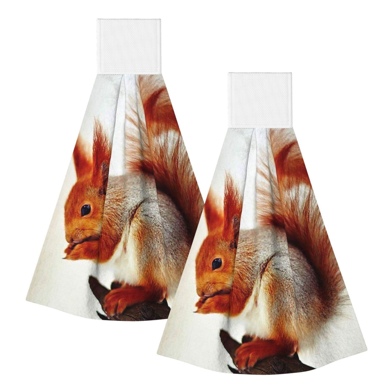 DOPKLNA Squirrel Pictures Printed, 2 Pcs Hanging Coral Fiber Hand Towels for Bathroom, Absorbent Kitchen Towels