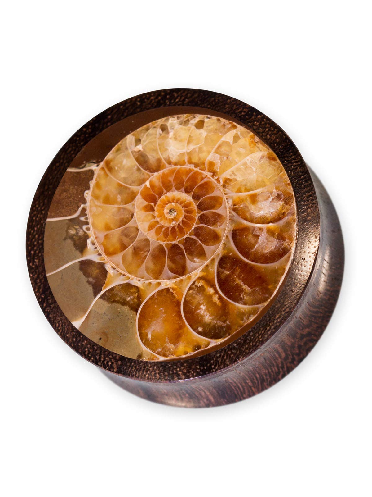Fly Style Piercing Ohr Tunnel Plug - Ohr Piercings - Ammoniten Earplug Holz Horn