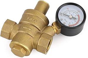 Topteng 3/4" Brass Water Pressure Reducing Regulator Valve With Gauge