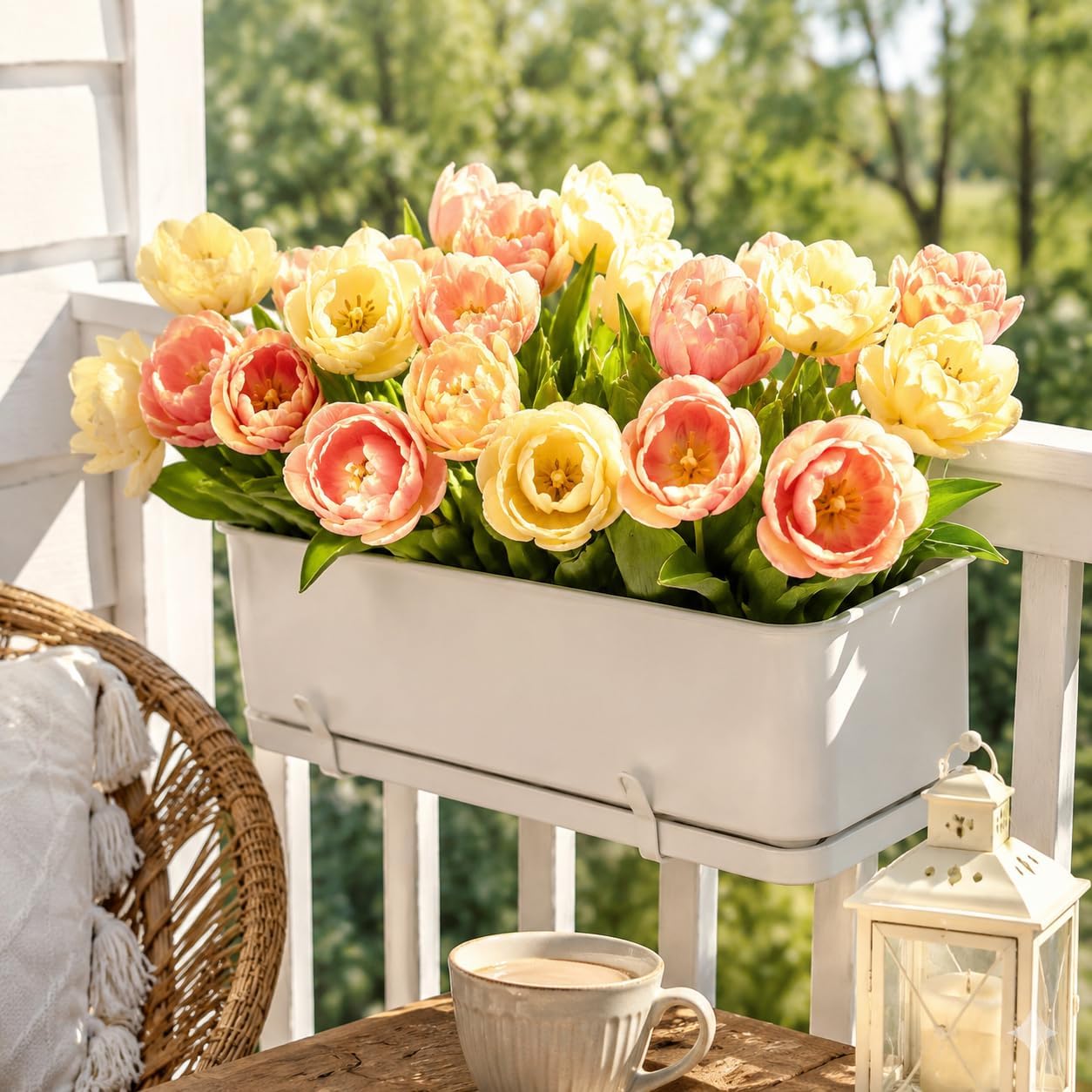 Tulip Flowers Bulbs, Hardy Perennials Perfect for Autumn Yard and Spring Garden Decor
