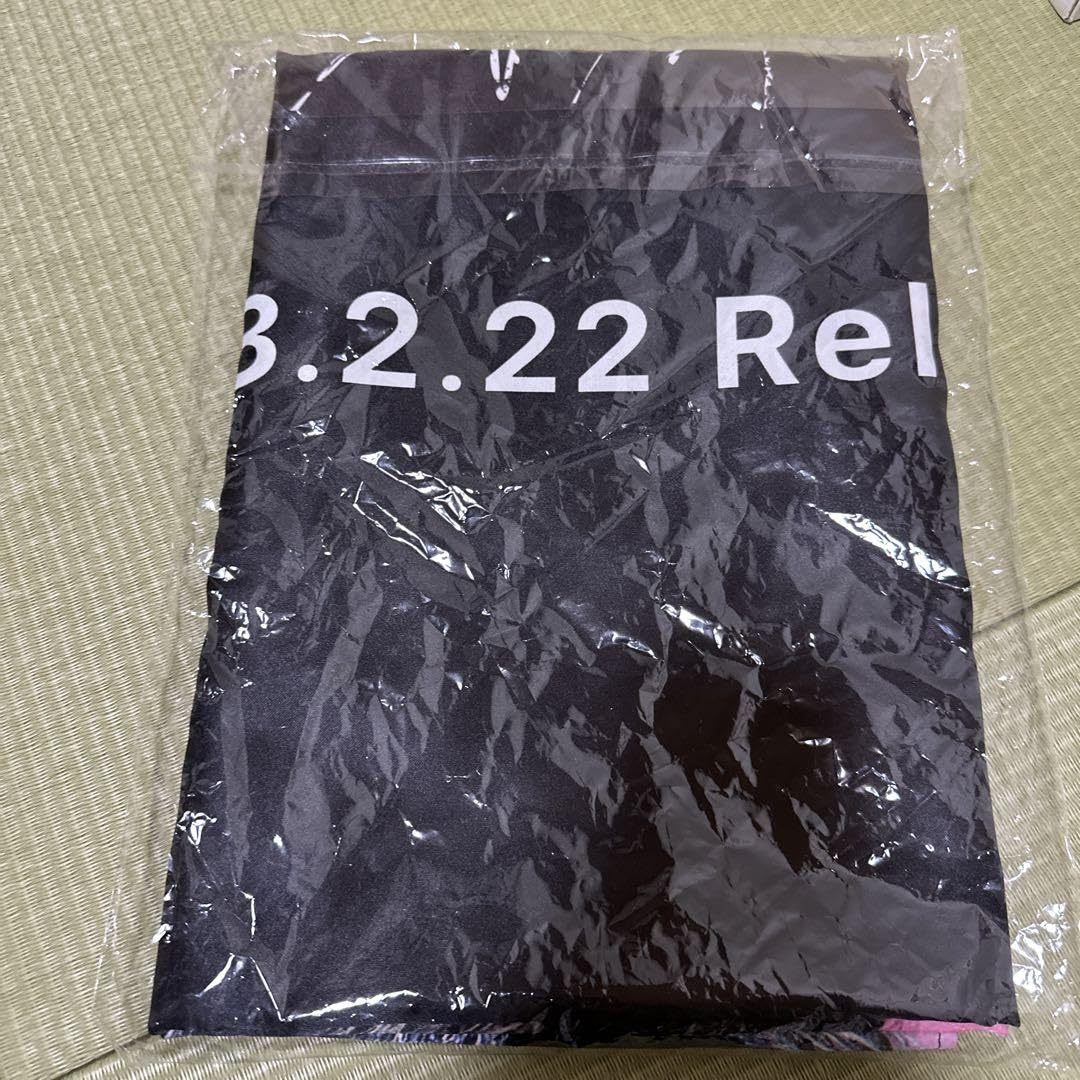 Amazon.co.jp: スキズ リノ 渋谷センター街 直筆サイン入りフラッグ 