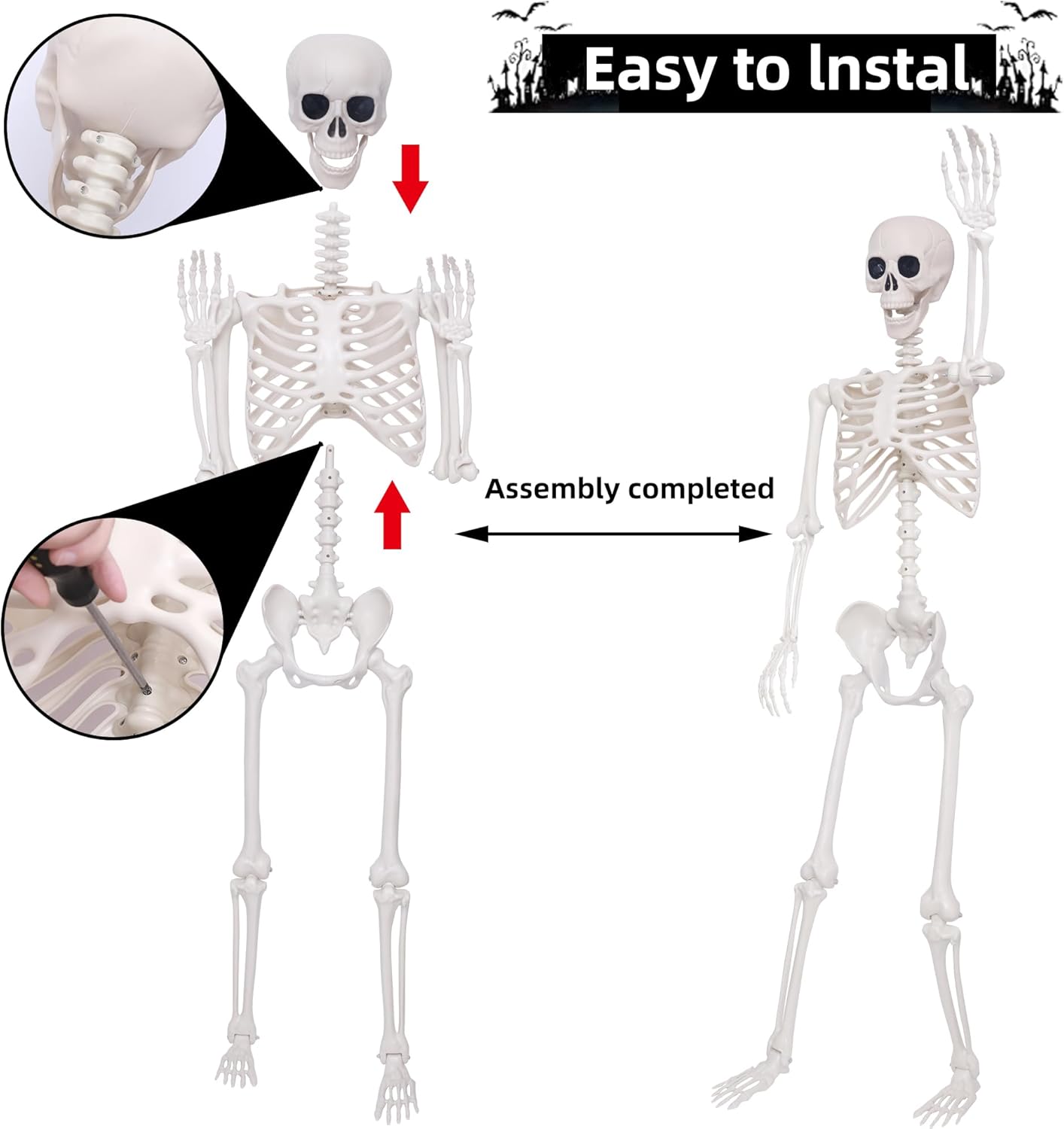 https://m.media-amazon.com/images/I/71ear7GQq4L._AC_SL1500_.jpg