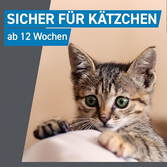 Frontline Spot On K Cat Solution