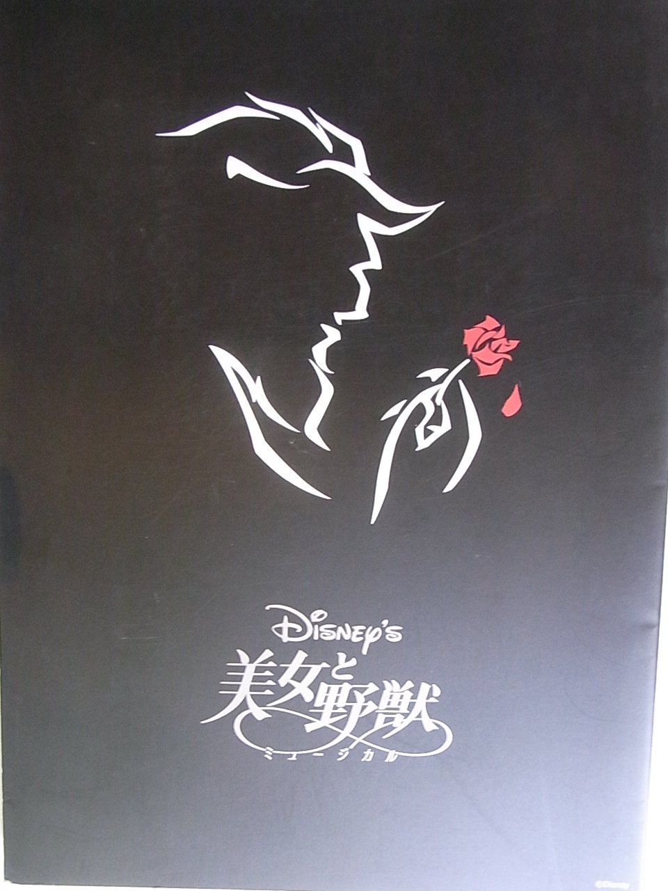 Amazon.co.jp: 舞台パンレット 劇団四季 美女と野獣 1995年赤坂