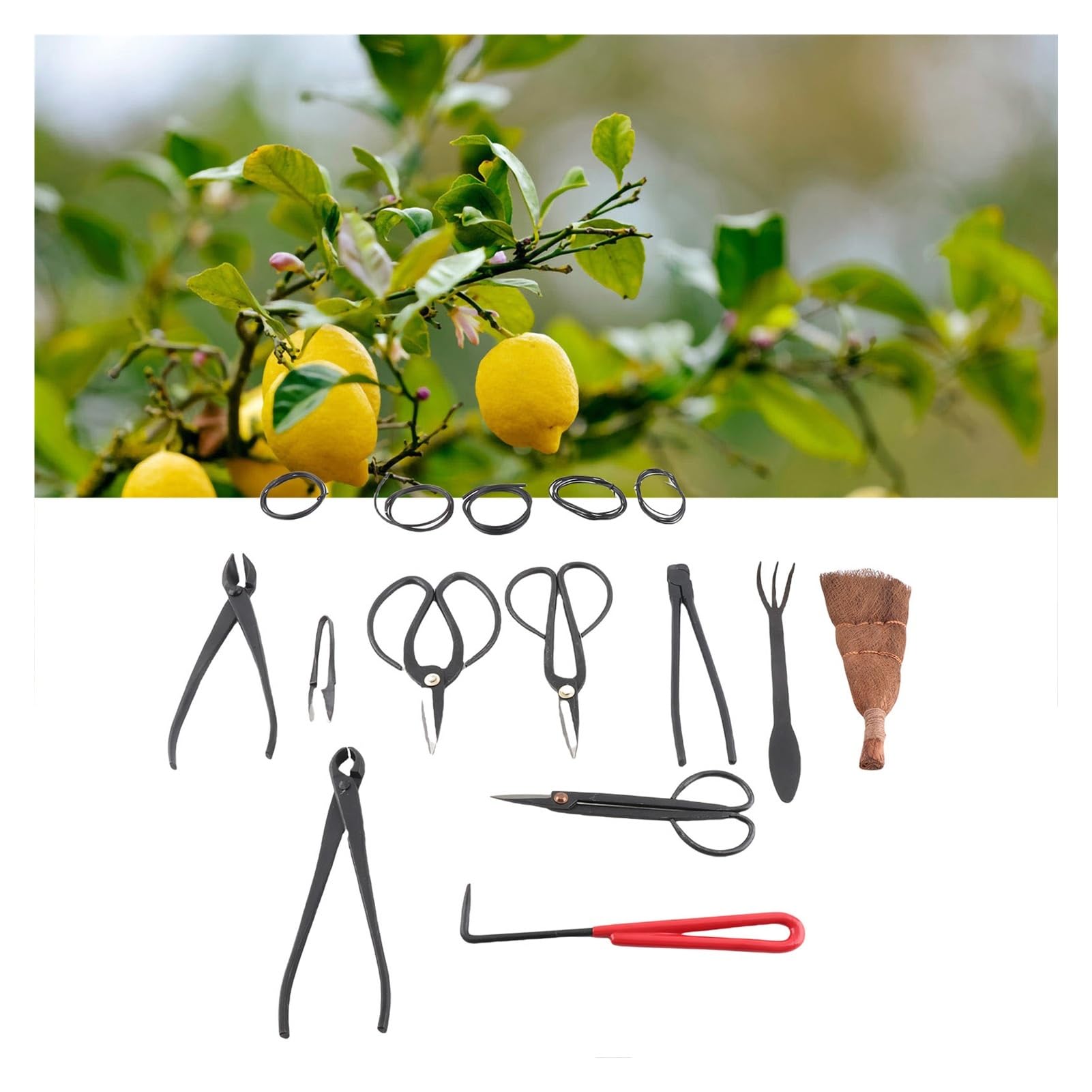ESESE Juego de Herramientas Profesionales for bonsái de 5 Piezas: Tijeras de podar de Acero al Carbono, recortador de Hojas con Bolsa de Transporte, rastrillo y Cortador de Ramas. Kit Completo