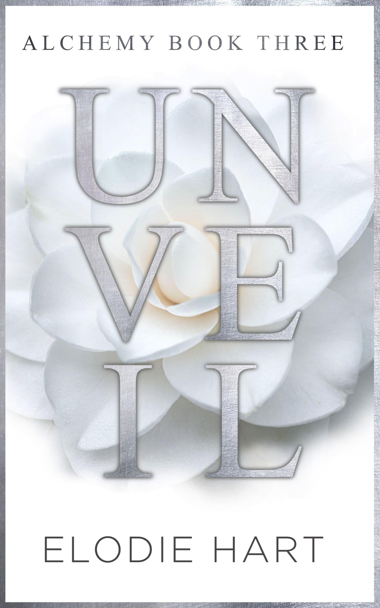 Unveil: A Hot Age Gap, Billionaire Romance (Alchemy)