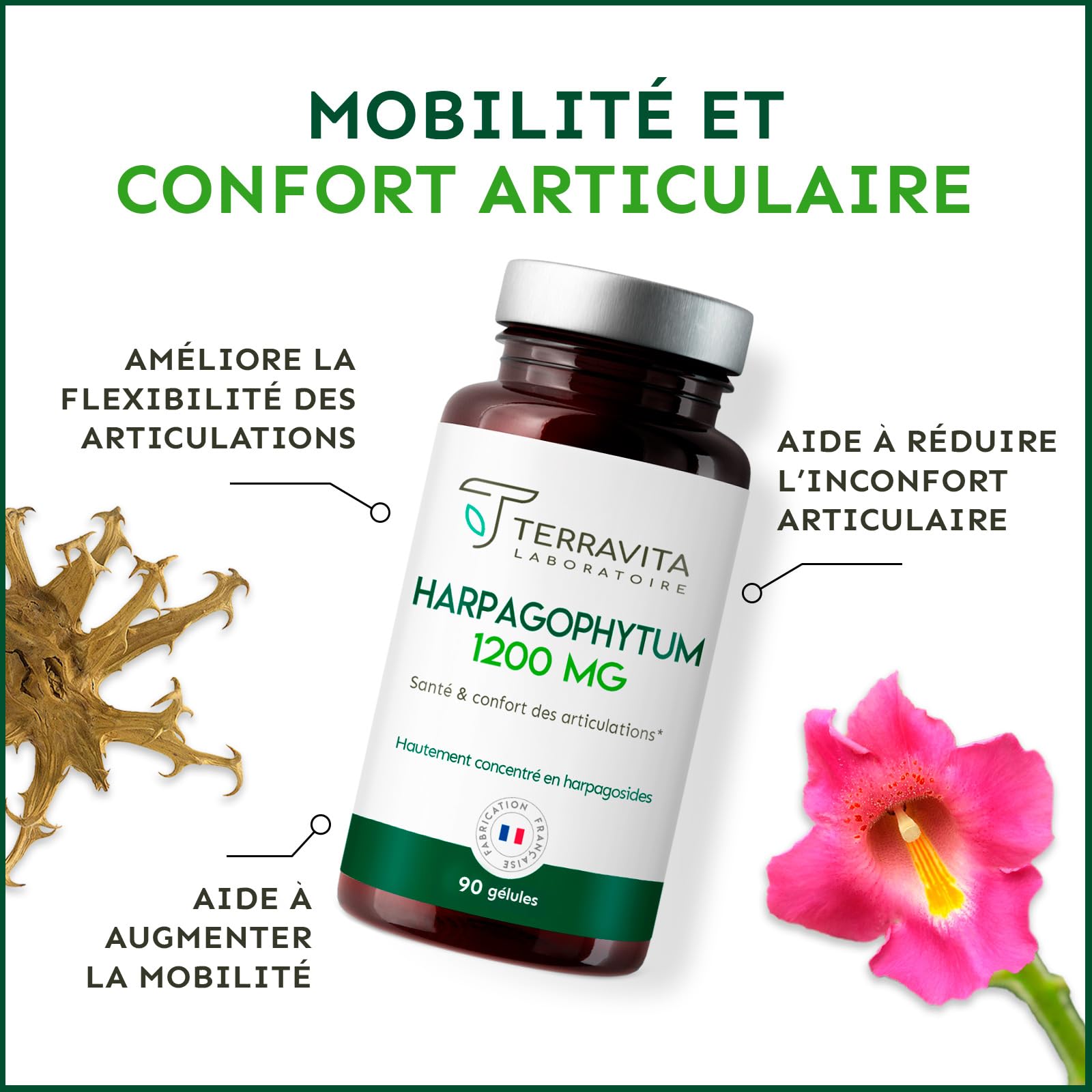 HARPAGOPHYTUM | Extrait 8:1 Ultra Concentré à 5% en Harpagosides | Douleurs Articulaires - Arthrose | Mobilité et Souplesse Renforcées | 90 Gélules de 400 mg | Made in France | Terravita