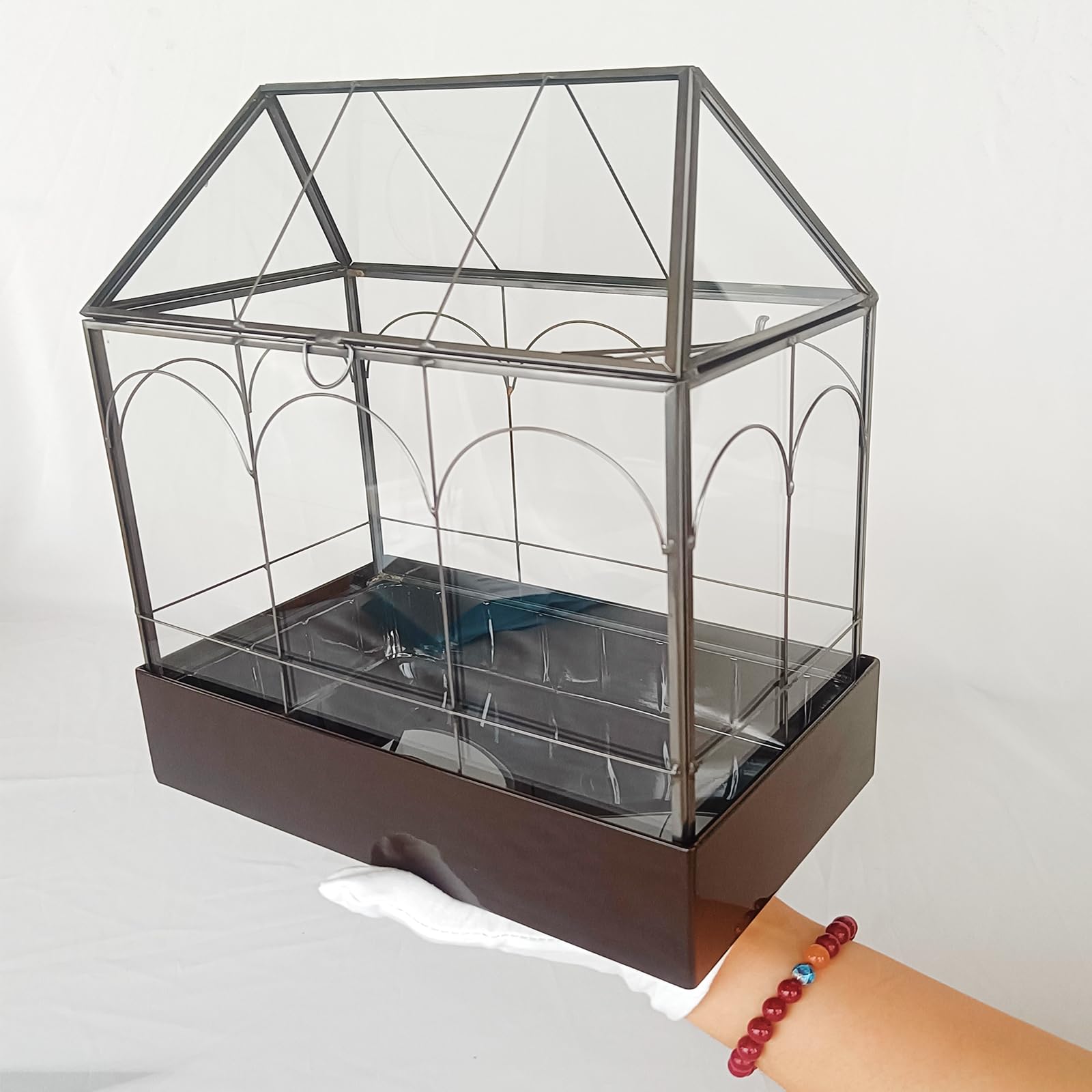 HighFree Terrario grande de cristal con bandeja de metal y patas de bola, kit de invernadero para suculentas, cactus, caracoles, arañas y reptiles en miniatura, color negro