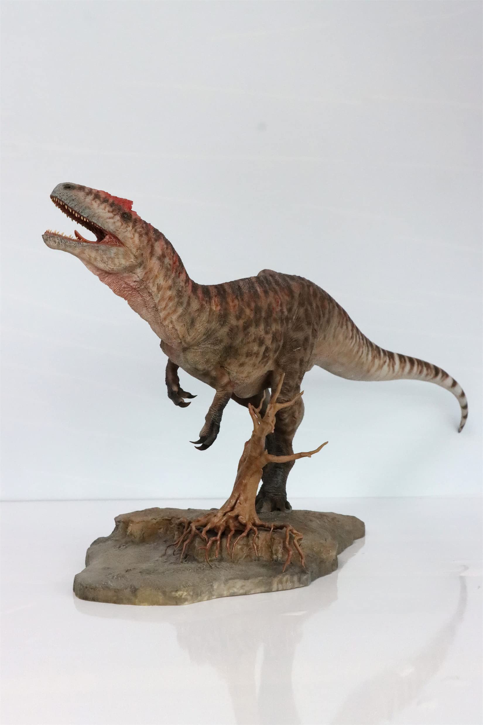 Amazon.co.jp: BACALYSO | SHOWANNA 1/15 サイズ アロサウルス