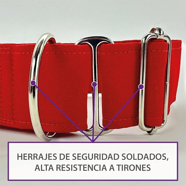 Foto 2 de 2 de Galguita Amelie Collar Martingale para Perros, Capitán Estrella (4M)