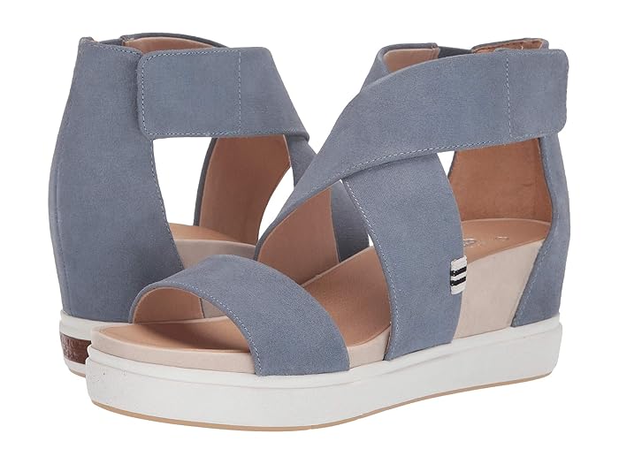 dr scholl's scout high