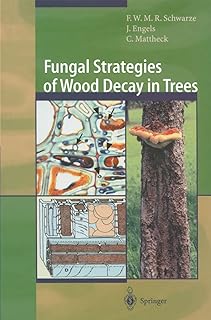 Fungal Strategies of Wood Decay in Trees