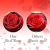 Vista 6 de TINGKU Eternal Real Rose Gift Box for Women, Preserved Rose with Customized Engraved Name Heart Necklace, Personalized Forever Flowers for Her Wife