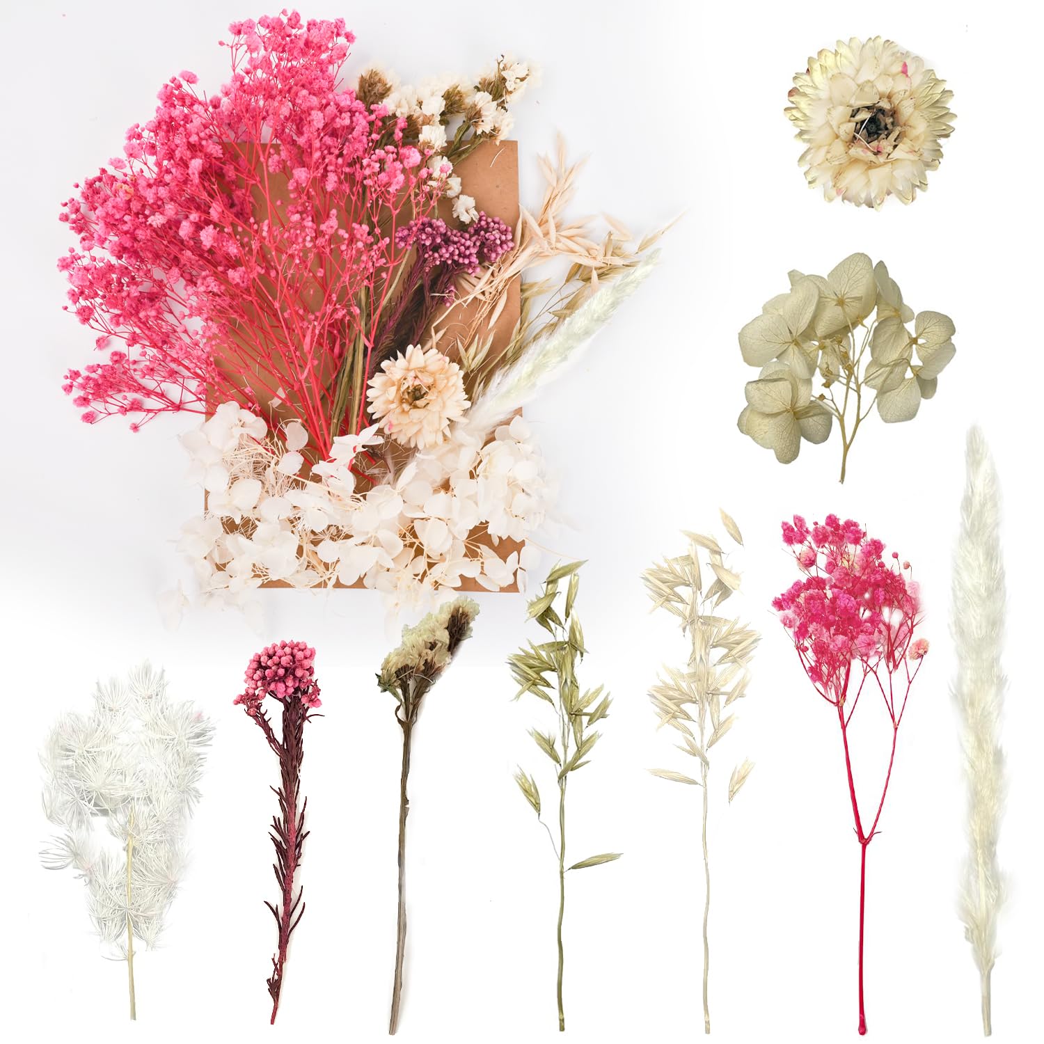 Dried Flowers