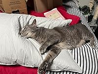 Review Image by Thomas Jay Felder