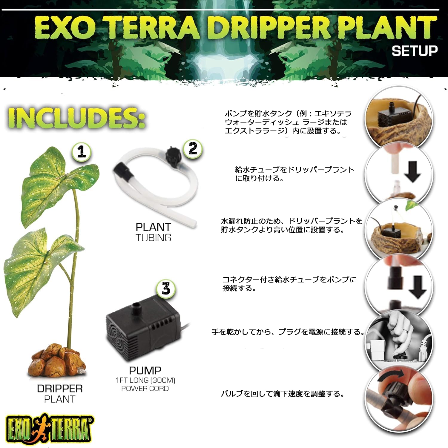 Amazon.co.jp: Exo Terra ドリッパープラント Large 爬虫類 両生類