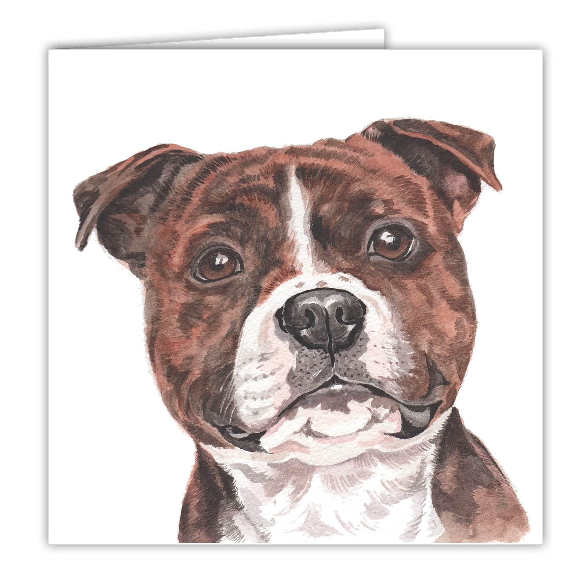 Maturi Blank Greeting Card with Water Colour Staffordshire Bull Terrier Dog Image