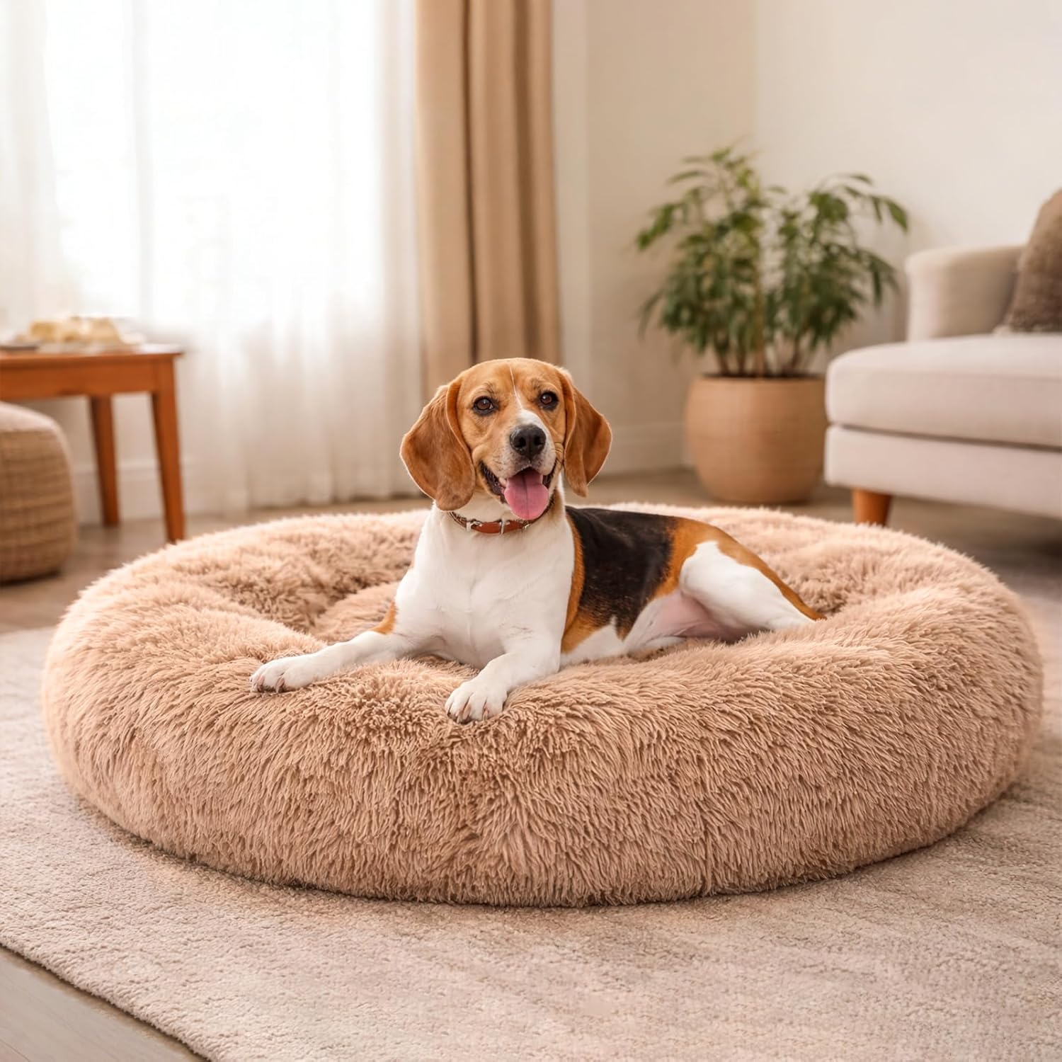 Dog & Cat Bed for Indoor Cats Calming Donut Bed Puppy Kitten Washable Round Fluffy Pet for Small Medium Dogs and Cats