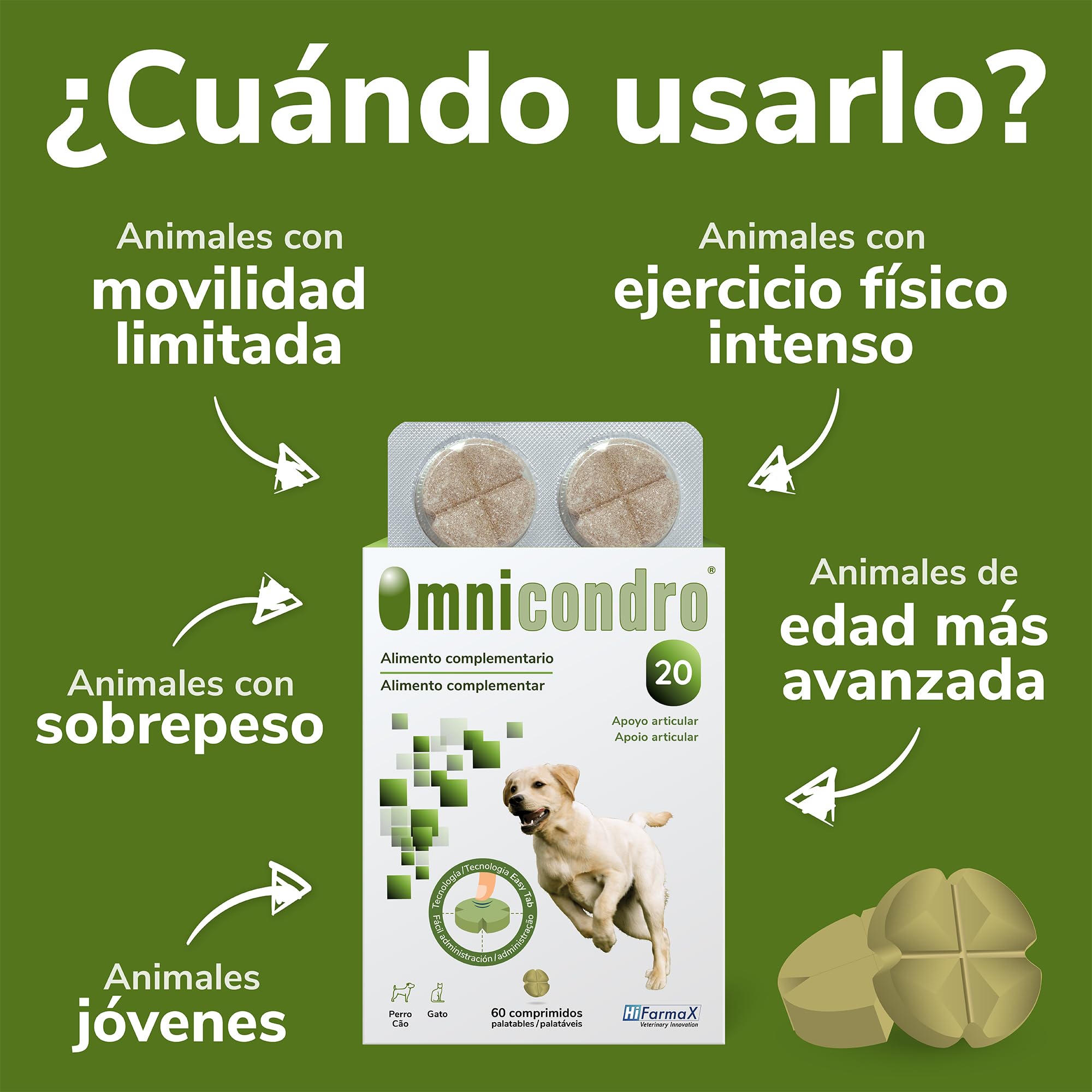 Omnicondro 20 Hifarmax - Condroprotector para Perros y Gatos | Glucosamina y Condroitina para Articulaciones | Vitaminas Mascotas | Suplementos para Perros Mayores | 60 Comprimidos
