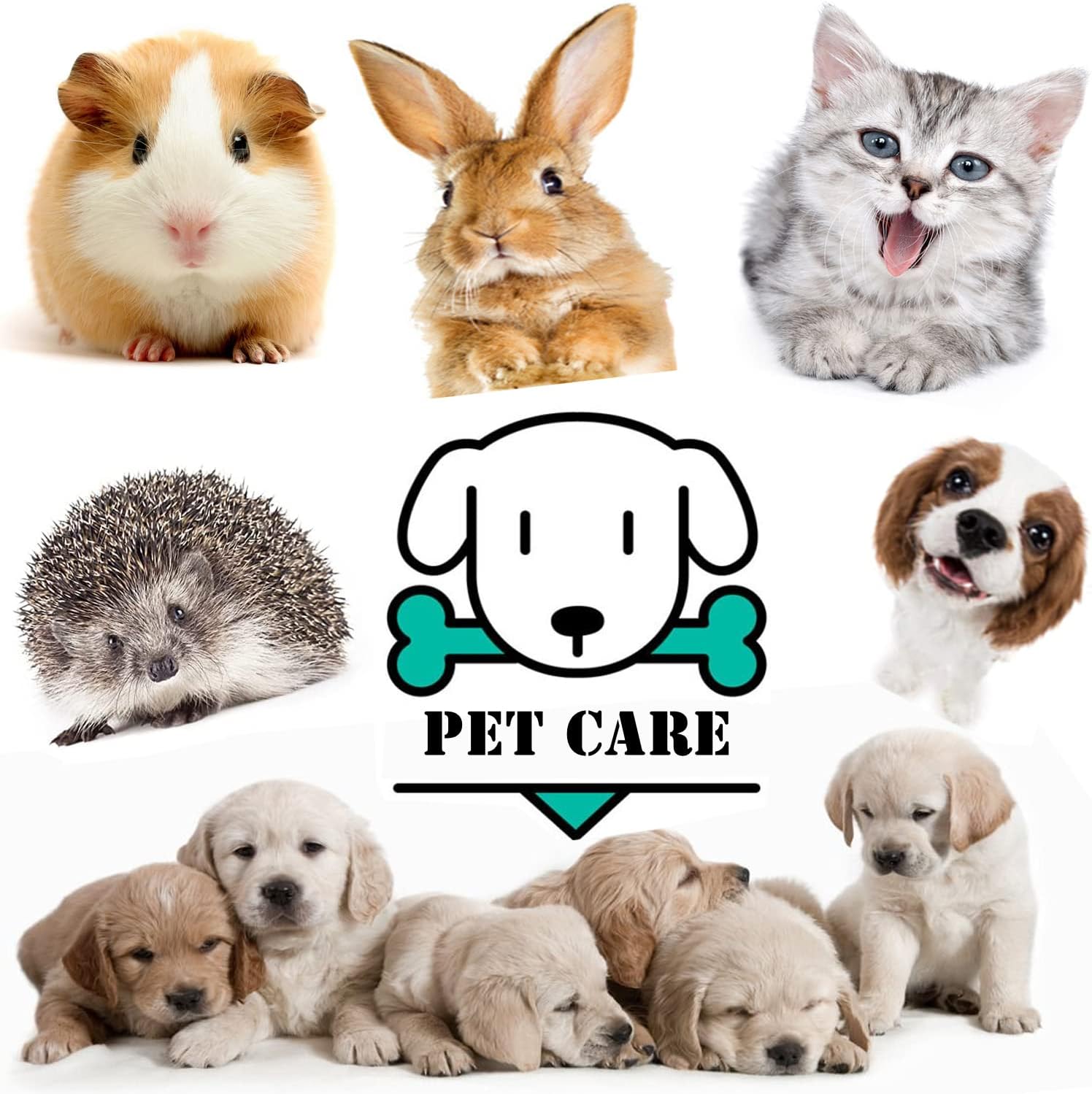 Pet Feeding Bottle,pet Feeding Tool,Pet Syringe,Pet Nursing kit,Pet Puppy Bottles,Pet Pill Shooter Dispenser,Dog cat Feeding Bottle,Small Animal Silicone Nipples image 5 of 7 B08DP39R96