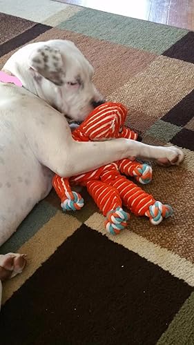 Review Image by Toddler Mom