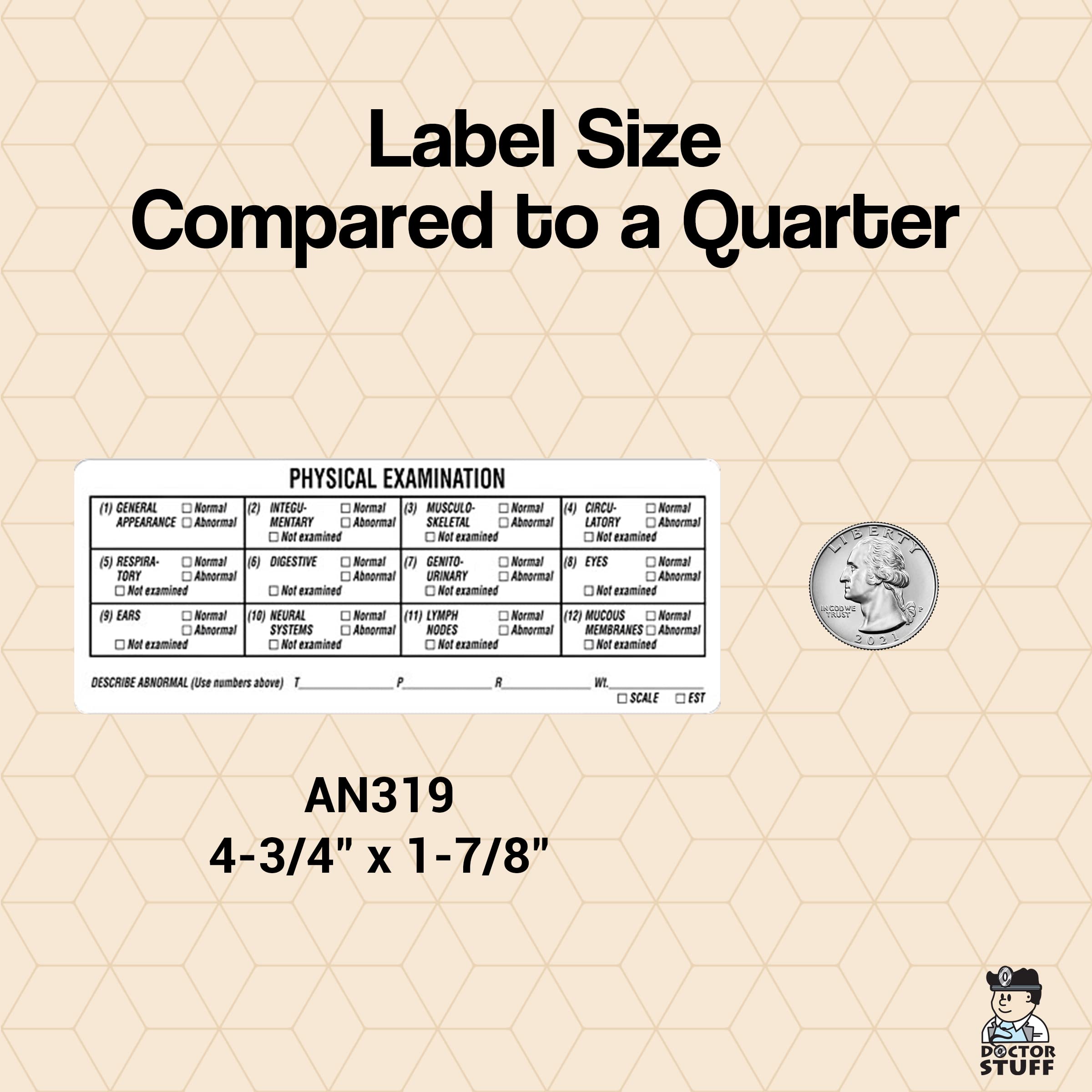 VETERINARY BOARD 9, 11, 12 3冊セット Amazon.com : Veterinarian Physical Examination Stickers