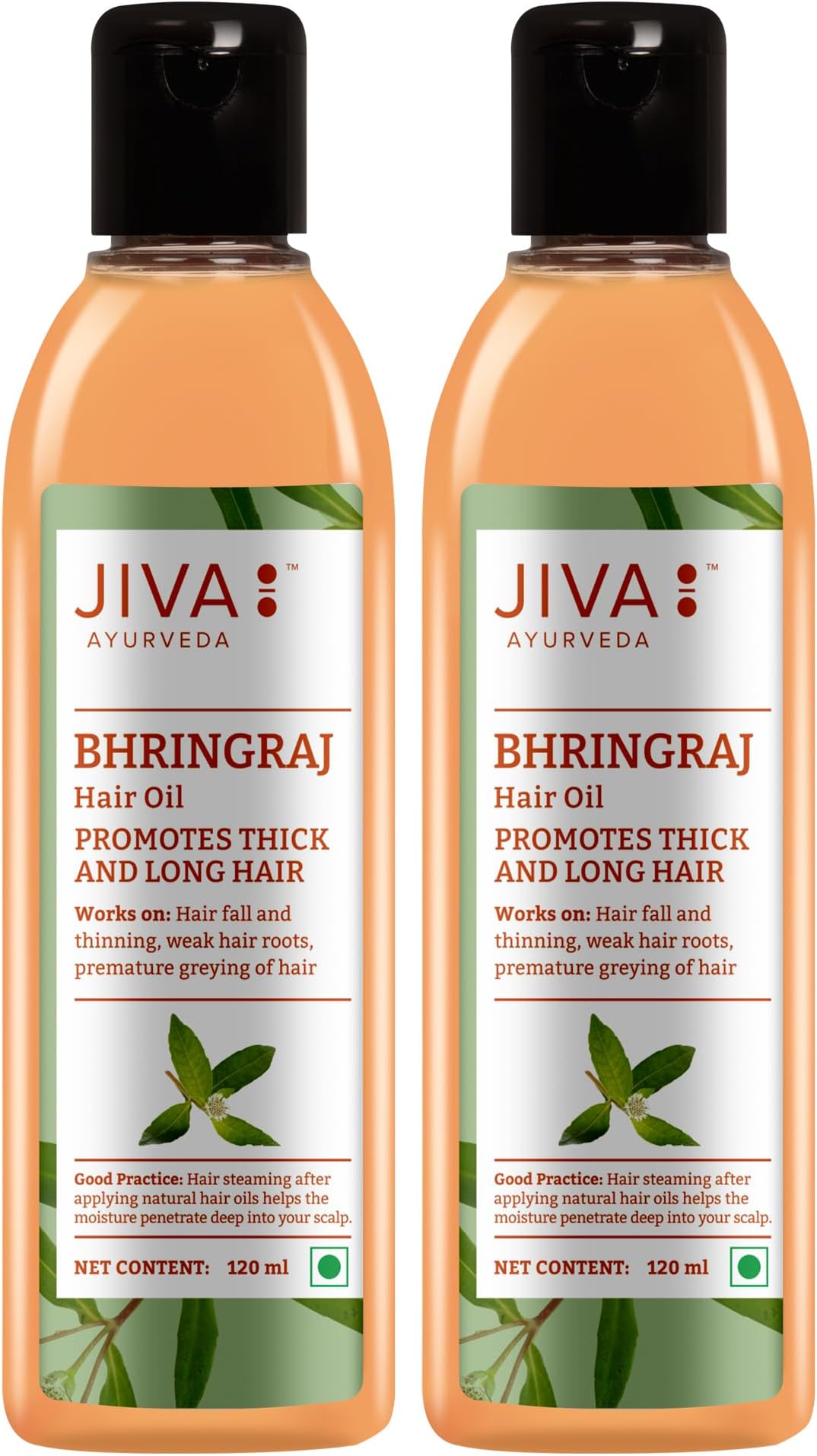 Jiva Ayurveda Bhringraj Hair Oil - 120ml (Pack of 2)