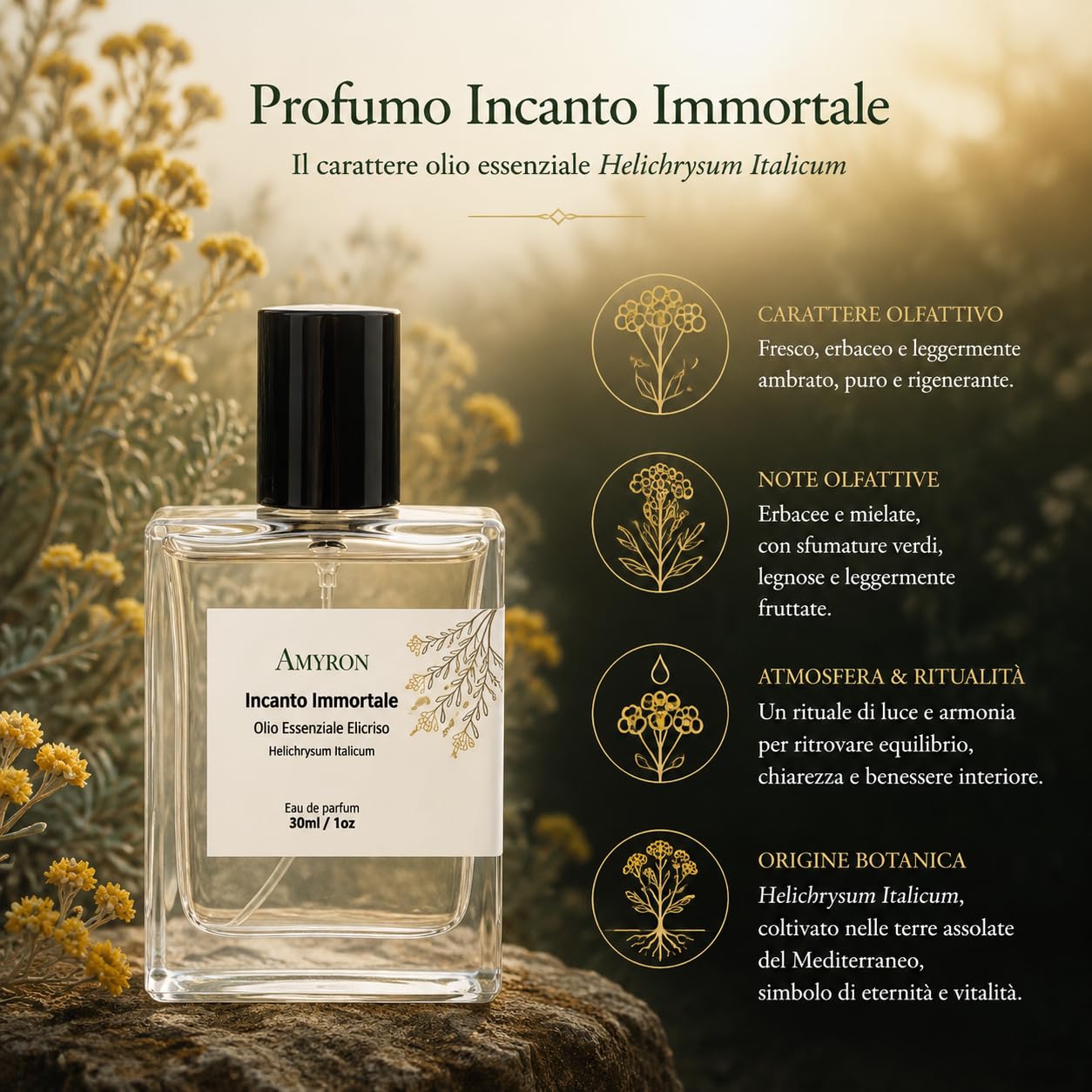 Profumo Botanico Incanto immortale 30ml AMYRON, Creato Con Ingredienti Al 100% Naturali A Base di Olio Essenziale Elicriso/Fragranza Artigianale Made In Italy.