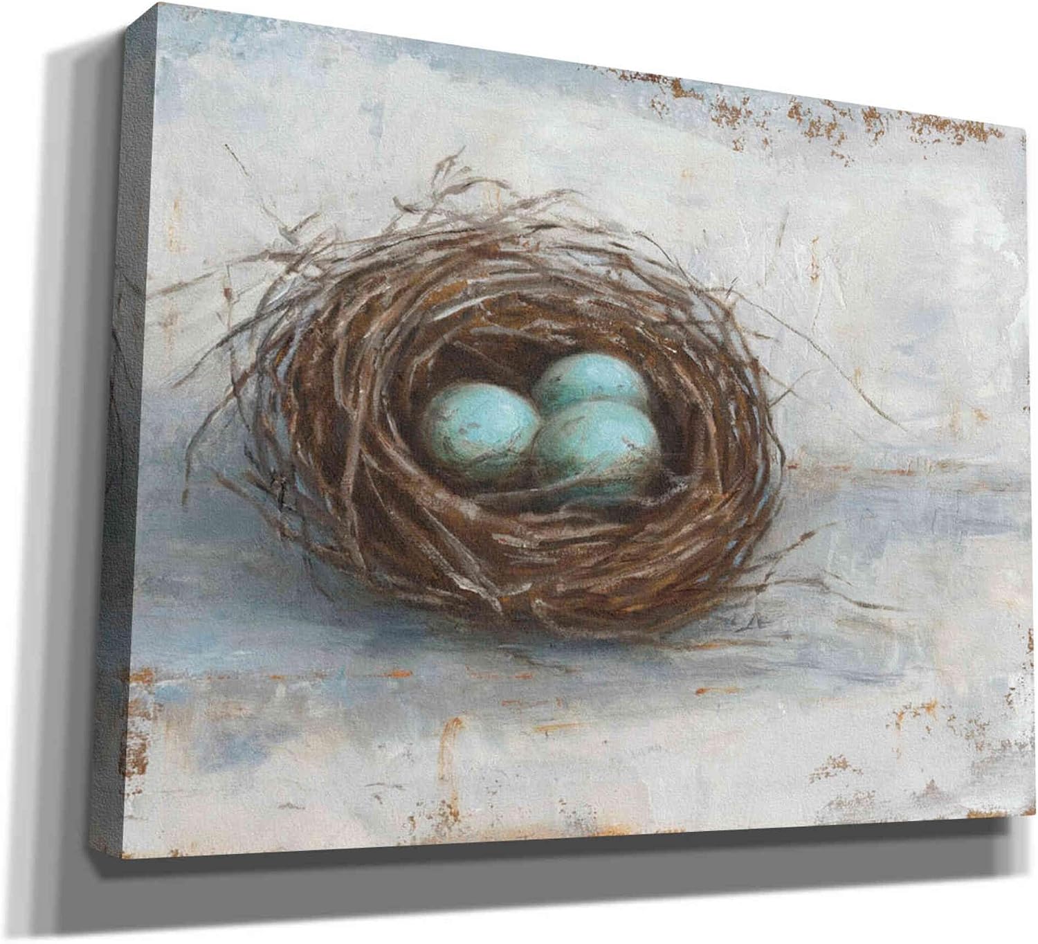 Epic Graffiti 'Rustic Bird Nest I' by Ethan Harper Canvas Wall Art, 16"x12"
