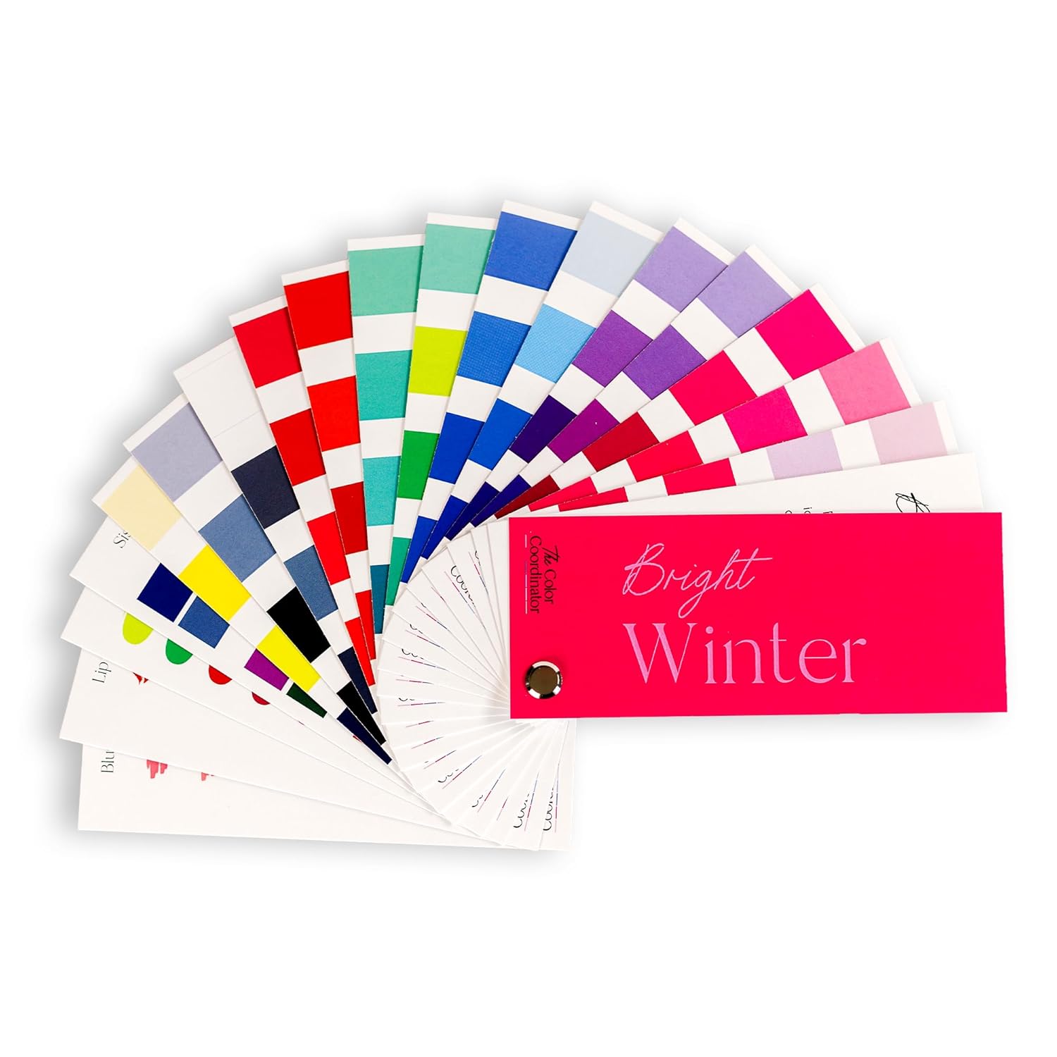 Personal Color Analysis Fan - 12 Season Color Fan, Skin Tone and Undertone Matching Guide for Makeup and Fashion, Portable Seasonal Color Palette (Warm Spring, Spring)