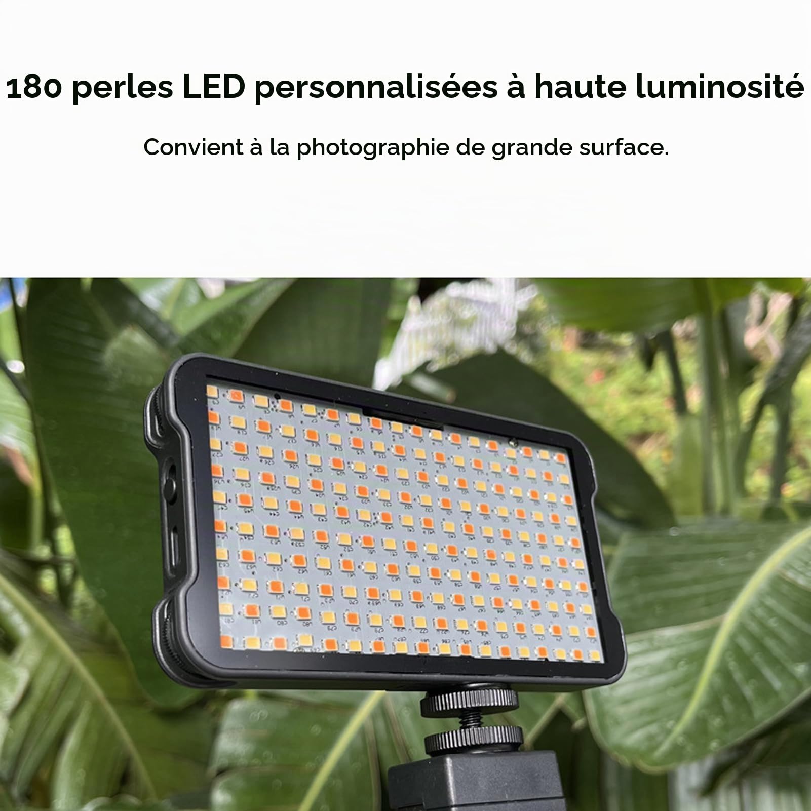 Éclairage LED de Photographie, Lumière de Photographie de Tatouage, Lumière Rechargeable sans Fil avec 180 Puces LED, Température de Couleur et luminosité Réglables, Lampe pour