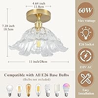 Vista 2 de Semi Flush Mount Ceiling Light,Hallway Vintage Lights Fixture Ceiling Transparent 11" E26 Vintage Light Fixtures for Closet Hallway Kitchen Dining