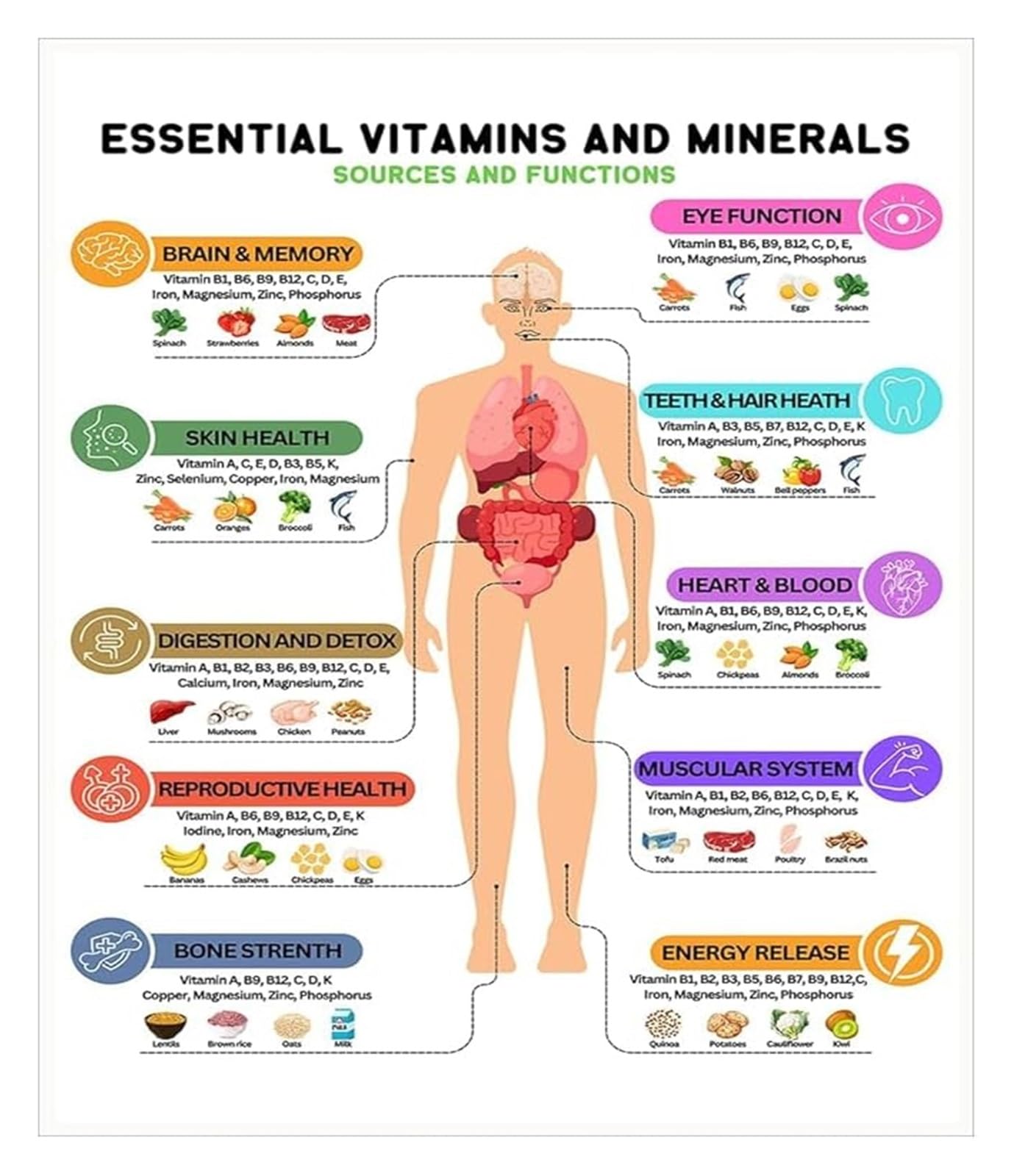 MDBJTCYZN Vitamins Minerals Chart Nutrition Facts Food List Essential Micronutrients Healthy Protein Poster Fitness Meal(Framed,08x12inch(20x30cm))