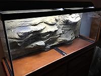 Review Image by DanaLynn DanaLynn