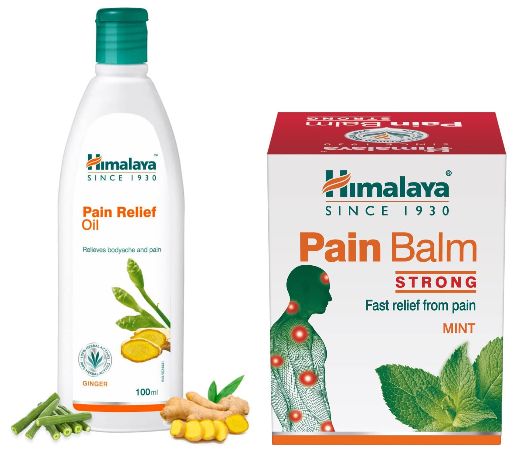 Himalaya Pain Balm Strong Fast Relief From Headache And Neck Pain Ayurvedic 45G & Himalaya Pain Relief Massage Oil - 100ml (B0CRVNV53Z) Amazon Price History, Amazon Price Tracker