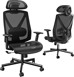 HUANUO Office Chair Ergonomic Desk Chair with 2D Adjustable Lumbar Support and Headrest, Armrest, Large Office Swivel Chair, Tilt Function Computer Chair