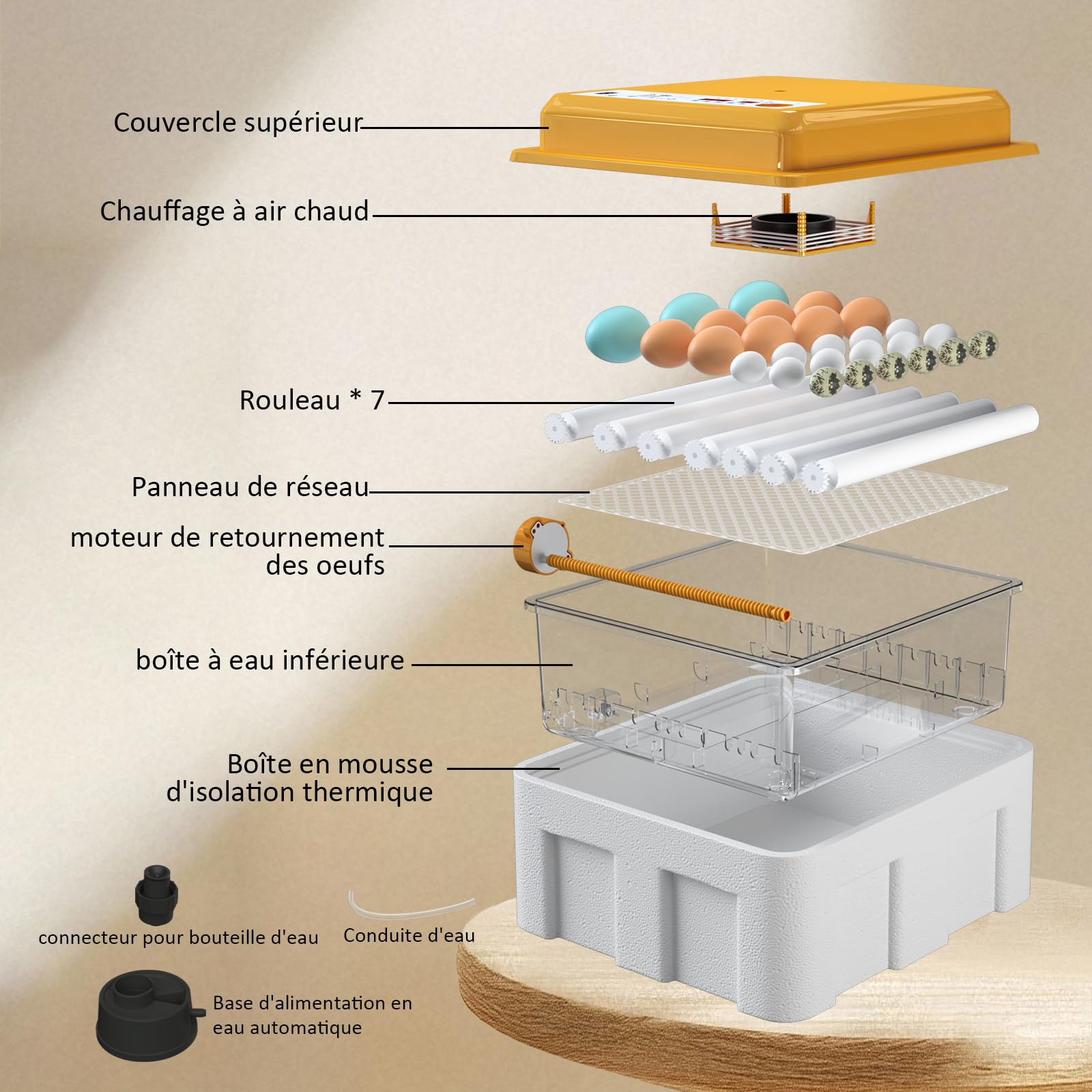 Couveuse Oeuf Automatique 36 Oeufs, Couveuse Oeuf Contrôle Température, Incubateur de 5 Modes d'incubation Automatiques, Affichage Humidité, Remplissage Automatique d'eau et Retournement