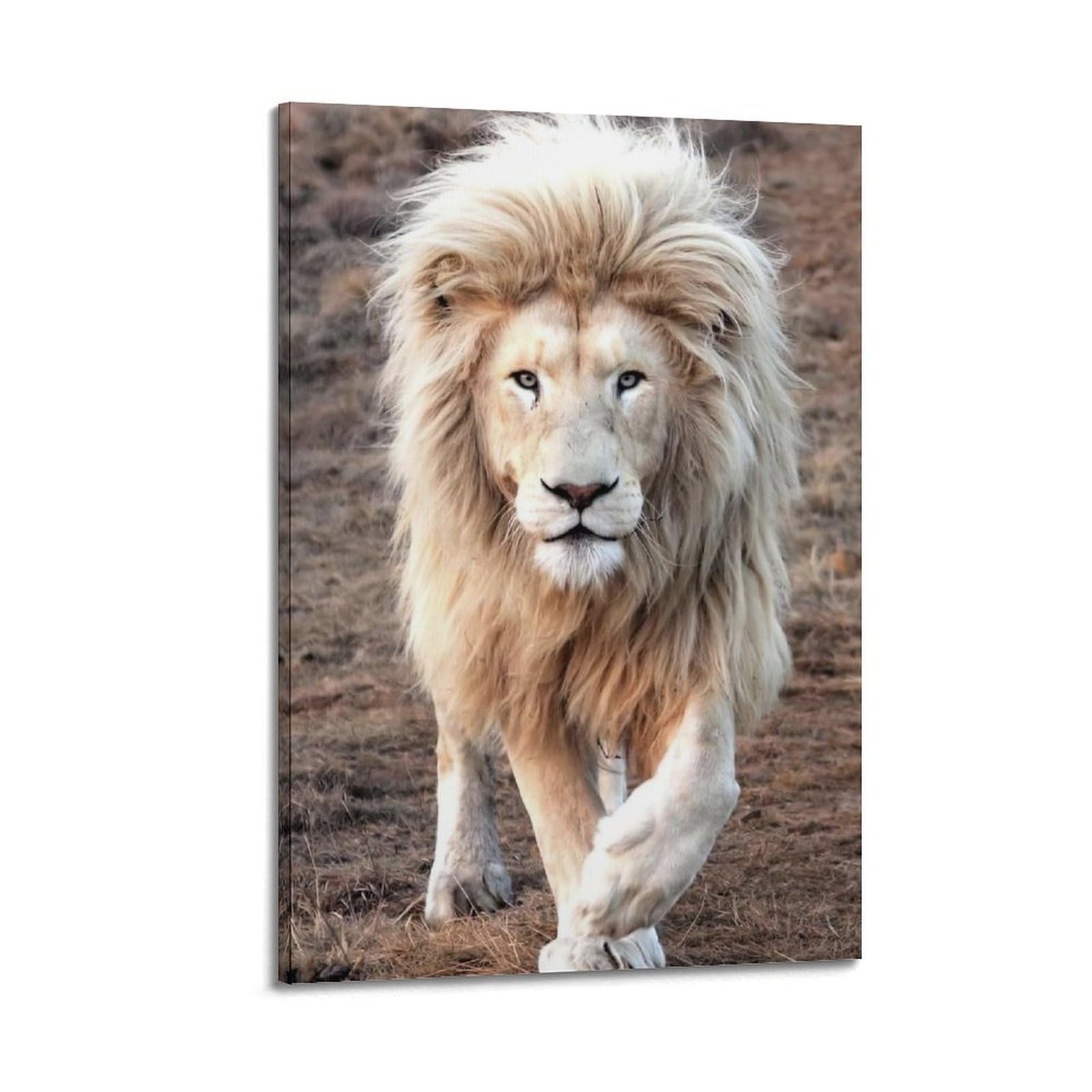 ZSZWHJ Wildlife Poster White Lion Poster Decorative Painting Canvas Wall Posters And Art Picture Print Modern Family Bedroom Decor Posters 24x36inch(60x90cm)