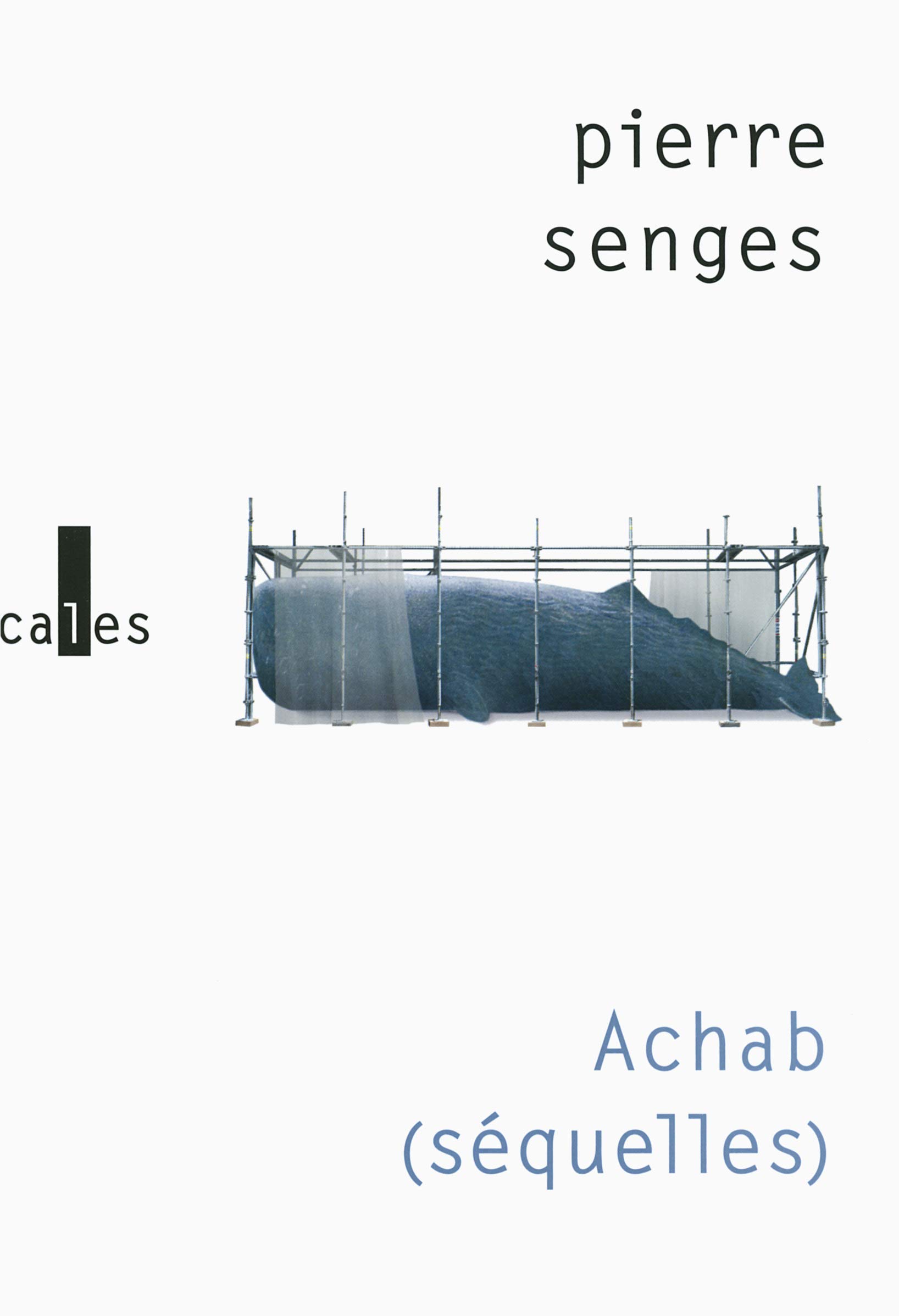 Achab: sequelles