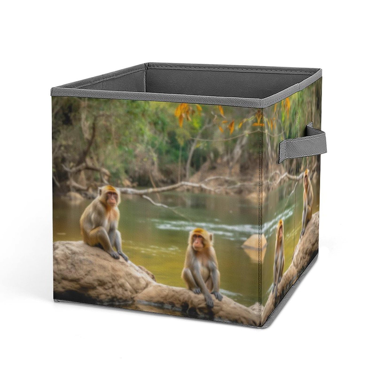 Organiseur de rangement pour vêtements anti-désordre placard motif singe