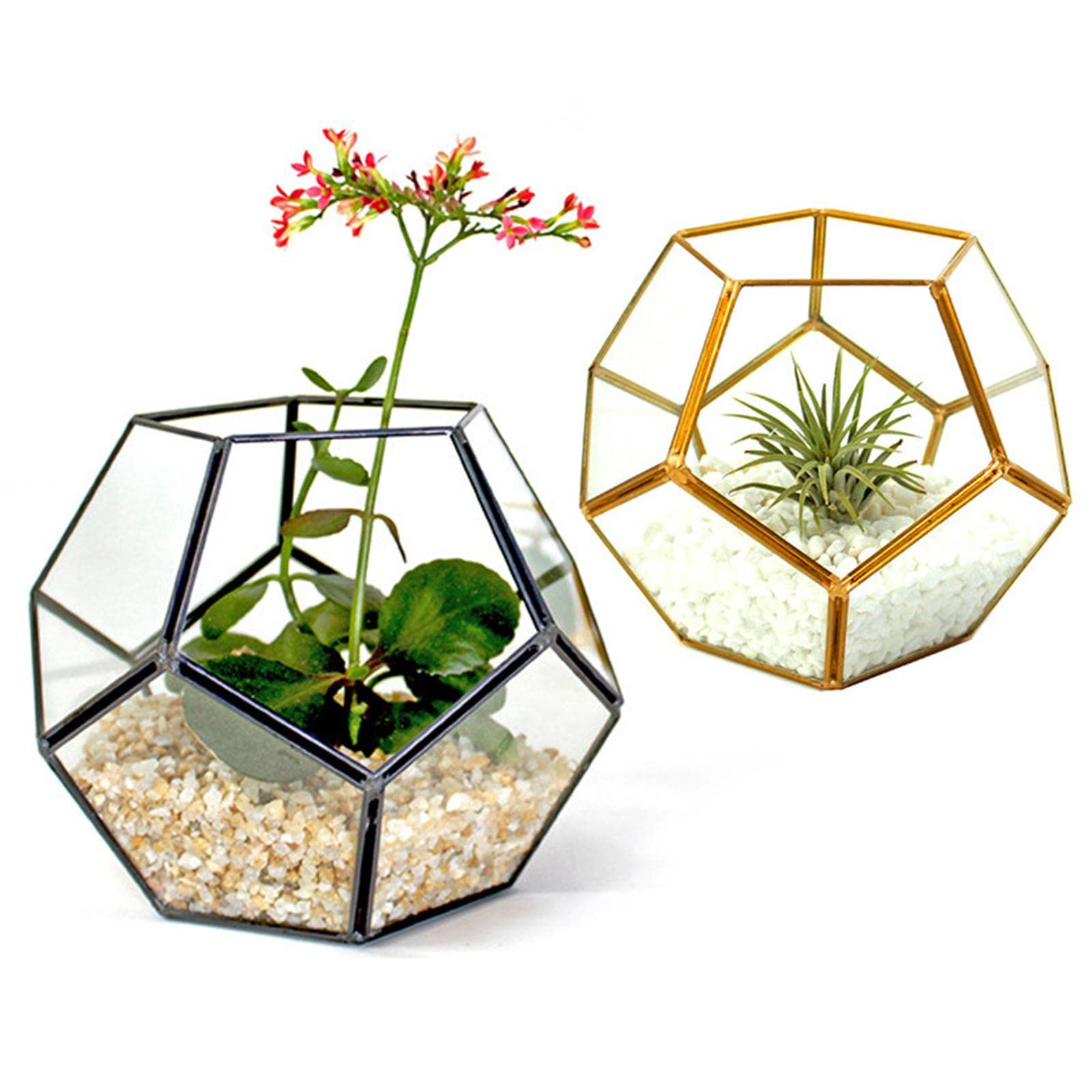 Geometric Terrarium Invernadero Decorativo de Vidrio Soporte para Plantas Arreglo Floral Diseño Moderno Adecuado para Sala de Estar Escrito, con Cobre
